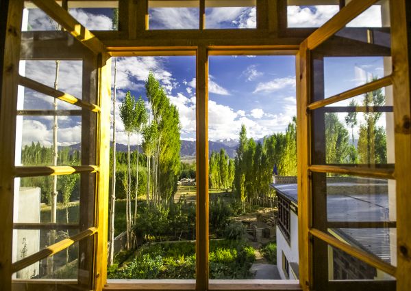 Wood Window Replacement in Chula Vista