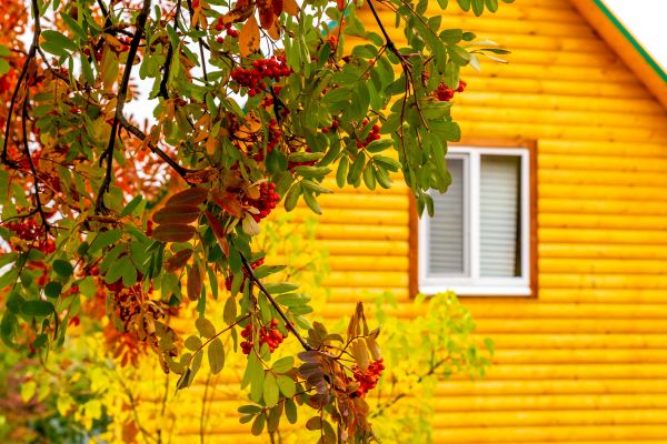 Cost of Garden Window Replacement in Chula Vista